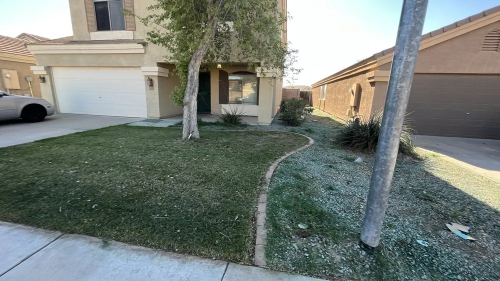 Affordable yard cleanup service with custom design across Goodyear, AZ - West Valley Services