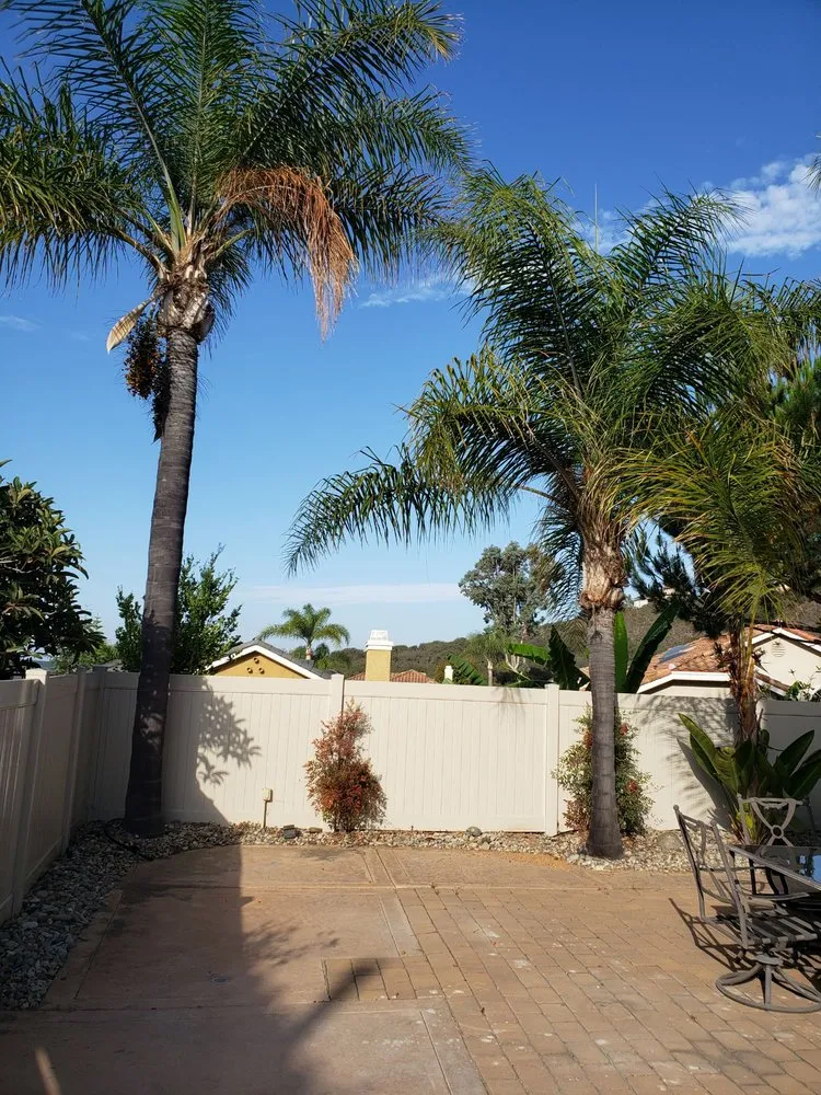 Affordable yard cleanup service in Fallbrook, CA - West Valley Tree Service