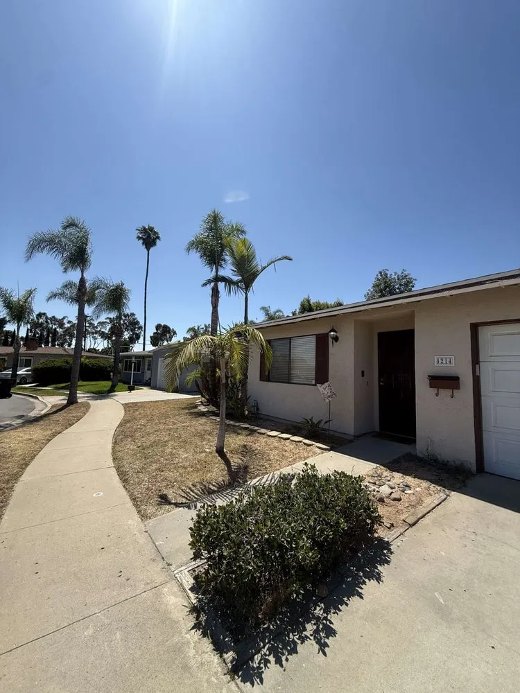 Expert outdoor landscaping in Fallbrook, CA by West Valley Tree Service