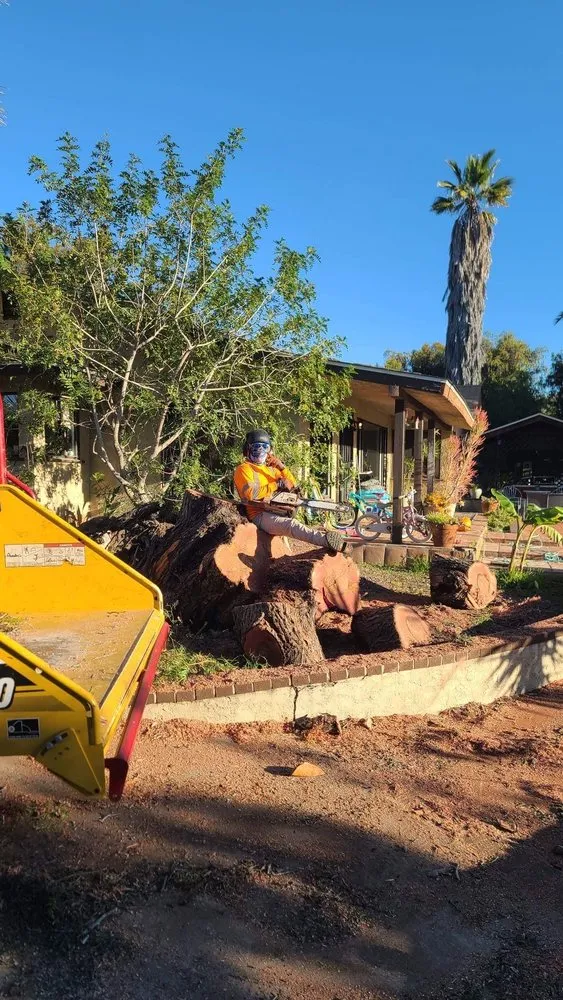 Professional lawn mowing service experts serving Fallbrook, CA - West Valley Tree Service