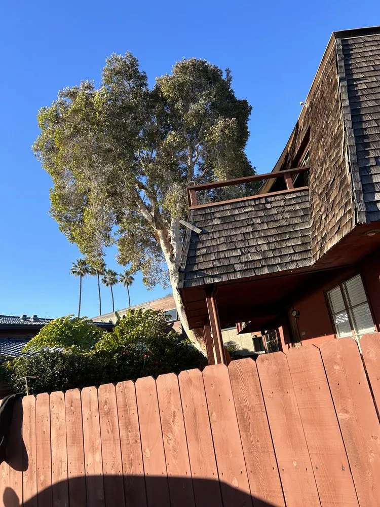 Trusted landscape installation experts serving Fallbrook, CA - West Valley Tree Service