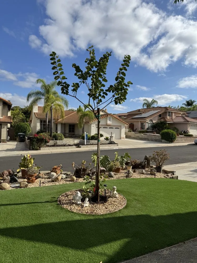 Custom lawn care service with custom design in Fallbrook, CA by West Valley Tree Service
