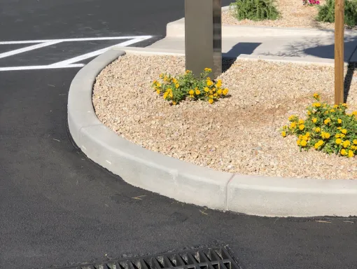 Professional lawn care service in Queen Creek, AZ by West View Landscape & Curbing