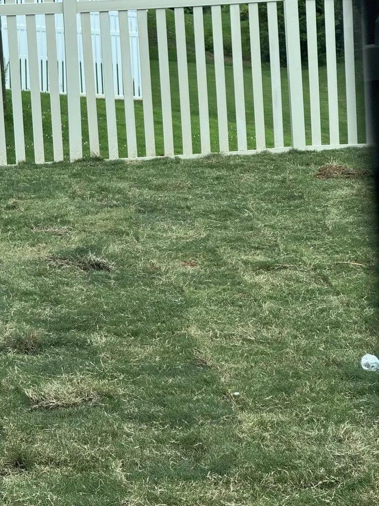 Custom landscape design for year-round maintenance in New Market, AL by West Way Landwork