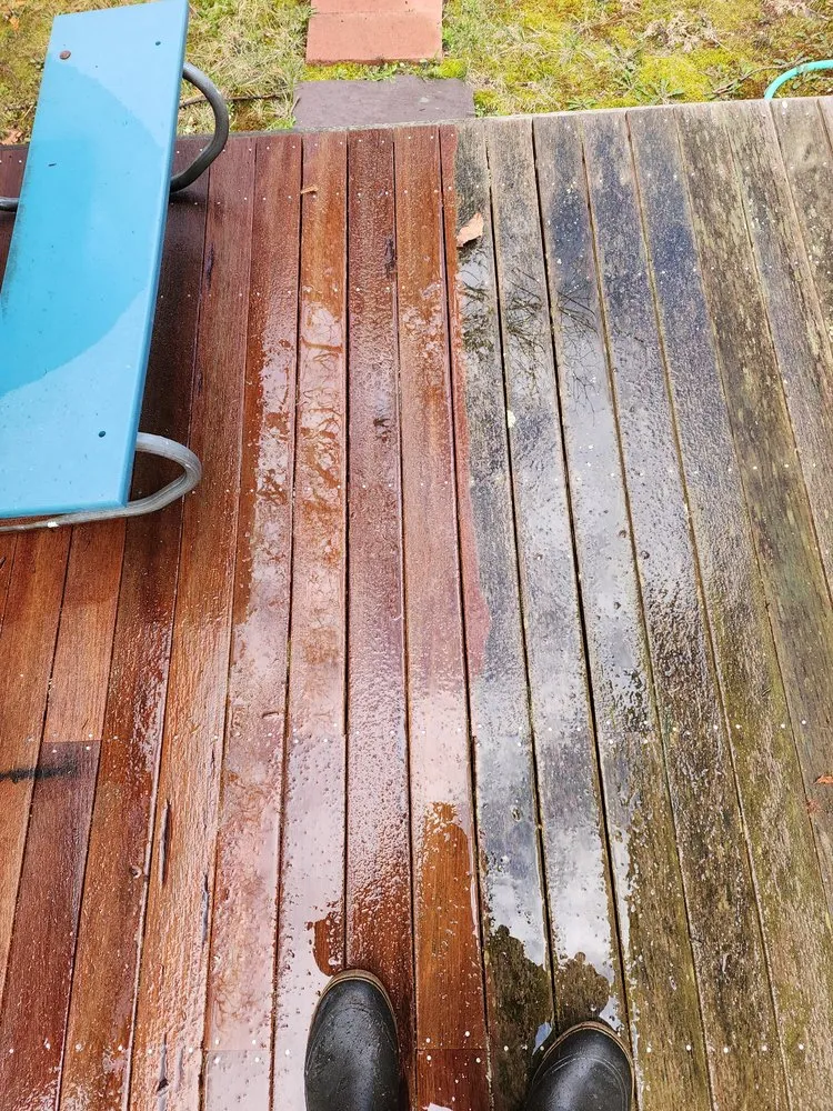 Affordable yard cleanup service for homes in Edgartown, MA by West Wind