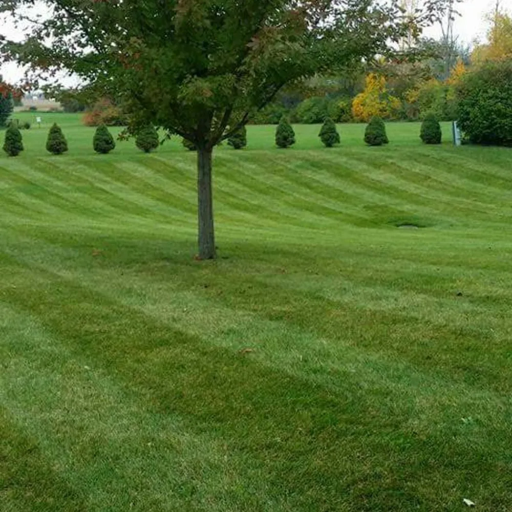 Top-rated lawn mowing service for residential properties in Batavia, IL by Westbrook & Son's Lawn Care