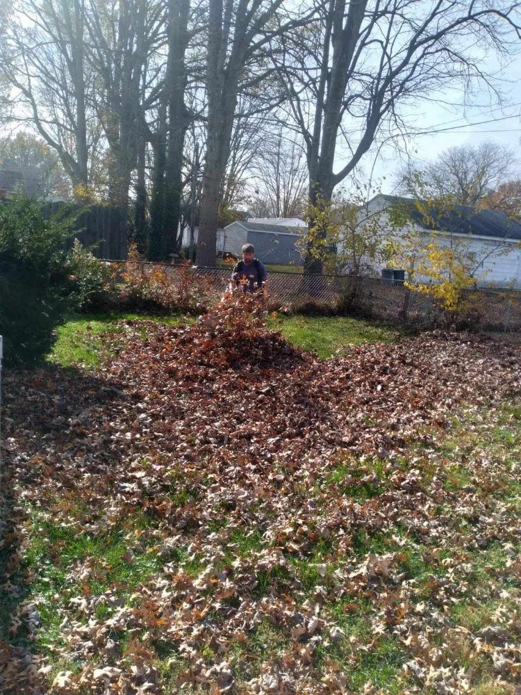 Custom landscaping services in Elyria, OH - Westbrook Landscaping