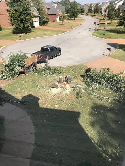 Custom landscape installation experts serving Nashville, TN - Westbrook Tree Service and Landscaping