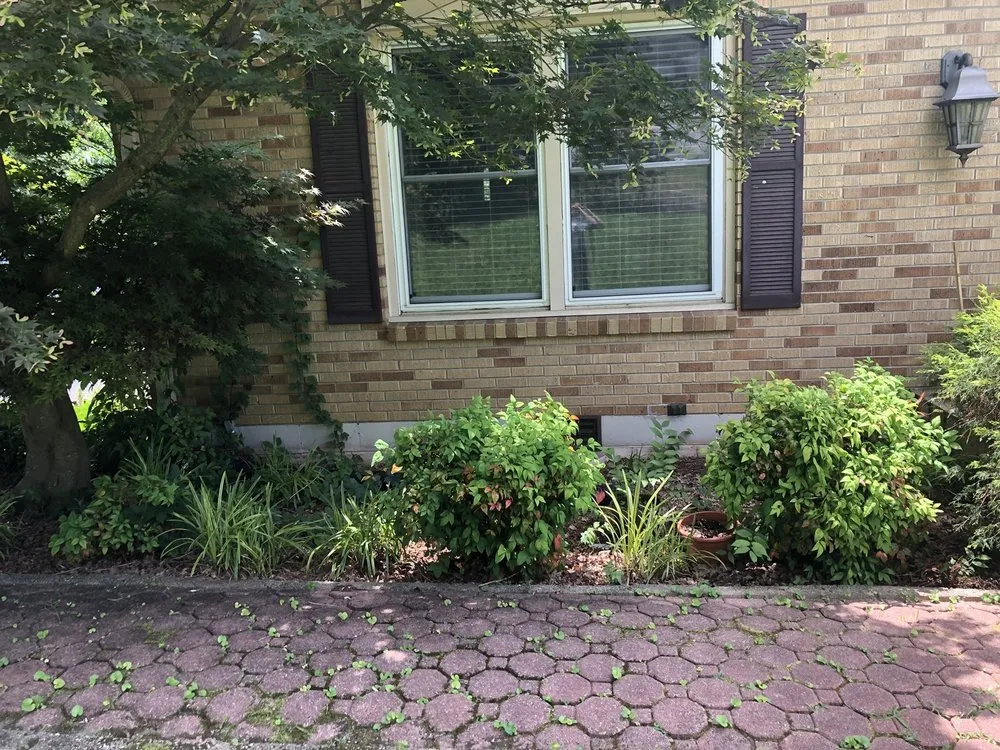 Local yard cleanup service in Nashville, TN by Westbrook Tree Service and Landscaping