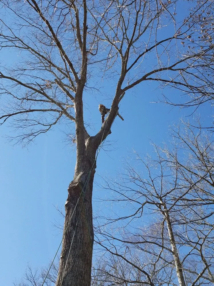 Trusted garden landscaping in Nashville, TN - Westbrook Tree Service and Landscaping