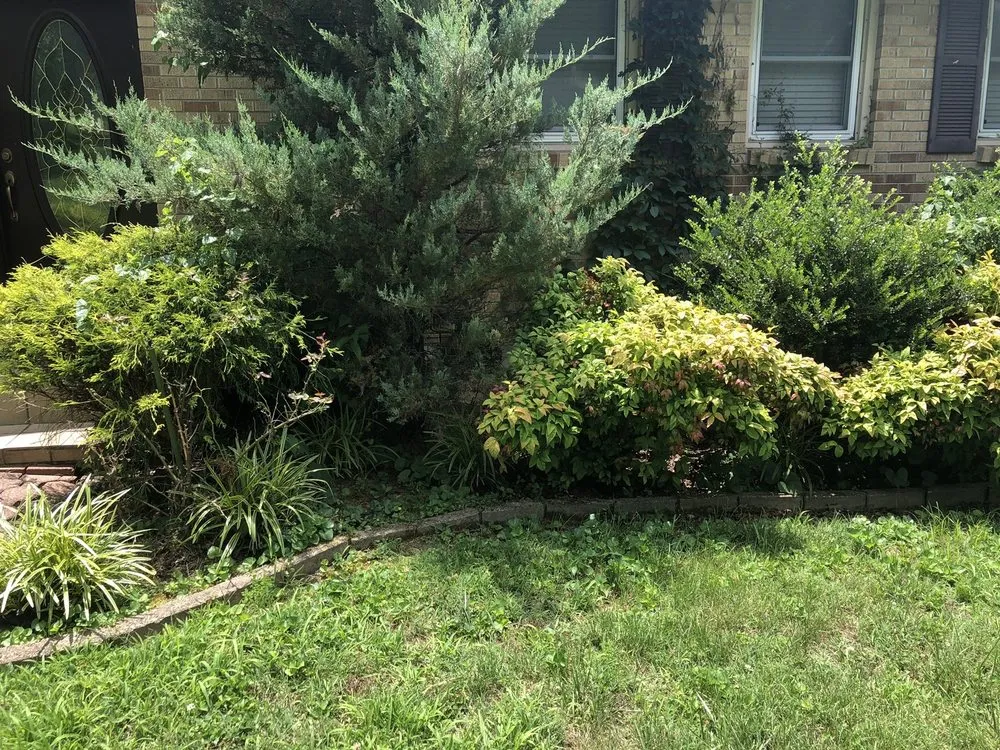 Affordable yard maintenance in Nashville, TN - Westbrook Tree Service and Landscaping