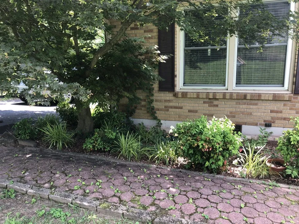 Local landscaping services near you in Nashville, TN by Westbrook Tree Service and Landscaping