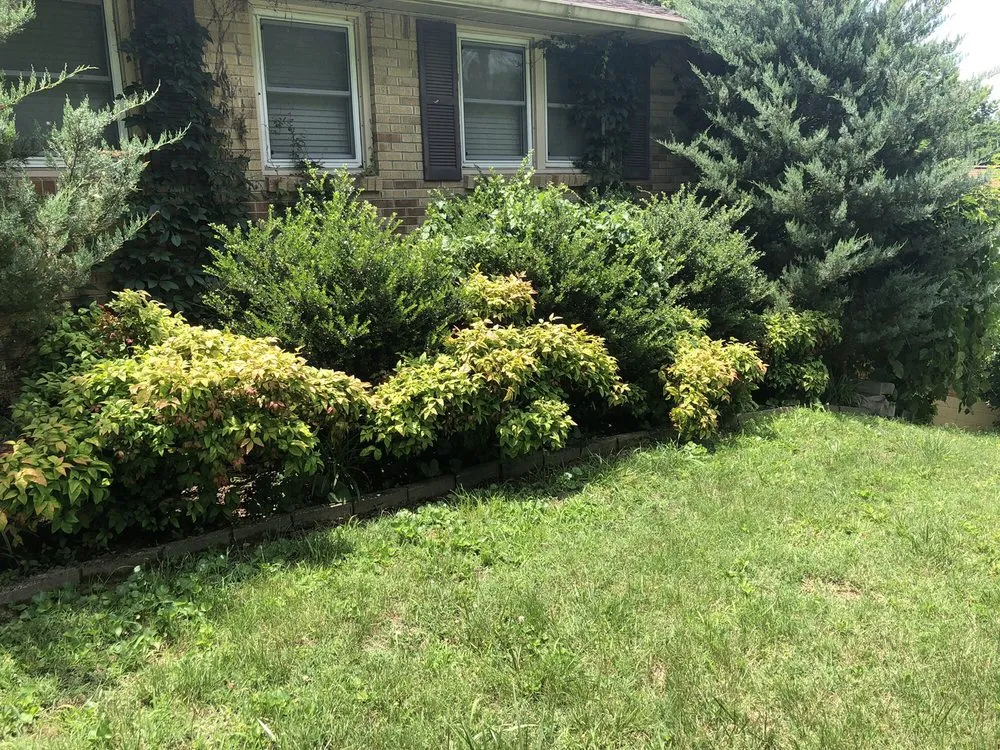 Trusted yard maintenance experts serving Nashville, TN - Westbrook Tree Service and Landscaping