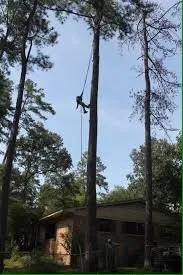 Top-rated garden landscaping for year-round maintenance in Nashville, TN by Westbrook Tree Service and Landscaping