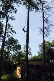 Trusted lawn mowing service with custom design in Nashville, TN by Westbrook Tree Service and Landscaping