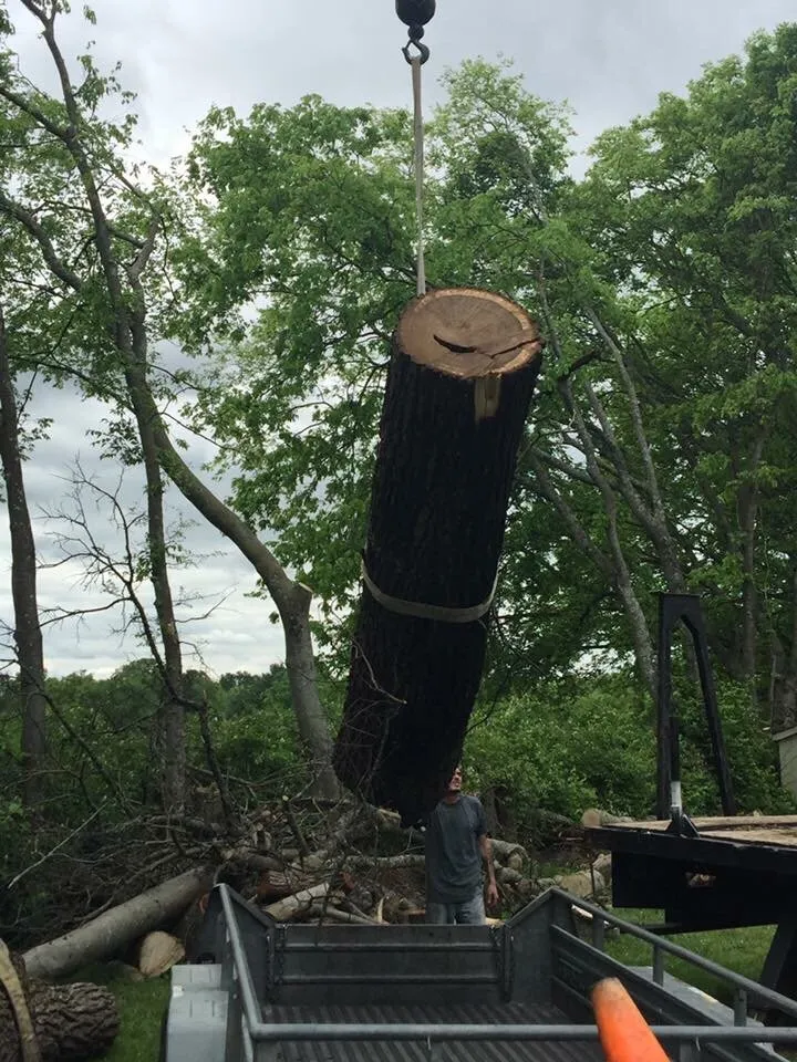 Local landscaping services for outdoor upgrades across Nashville, TN - Westbrook Tree Service and Landscaping