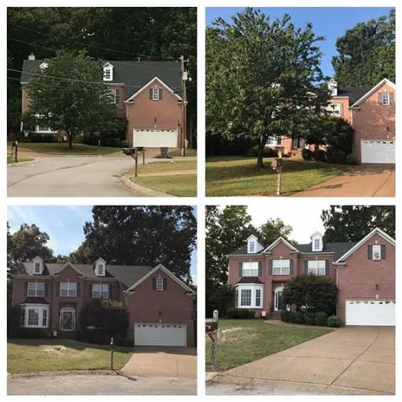 Local landscape installation in Nashville, TN by Westbrook Tree Service and Landscaping