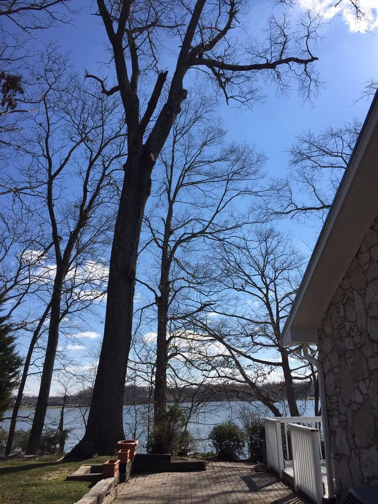 Expert yard maintenance in Nashville, TN - Westbrook Tree Service and Landscaping