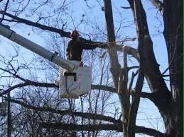 Reliable garden landscaping for beautiful yards across Nashville, TN - Westbrook Tree Service and Landscaping