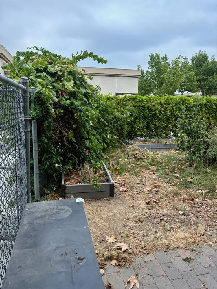 Expert lawn mowing service in Mission Viejo, CA - Westcoast General Services