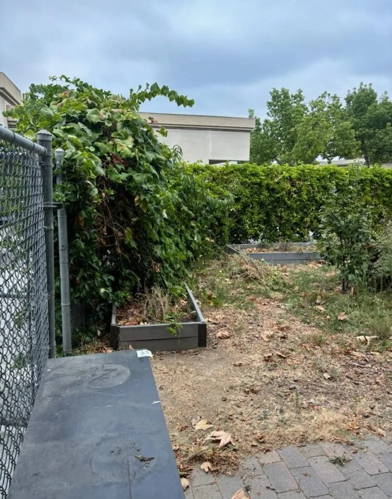 Reliable landscape design for homes in Mission Viejo, CA by Westcoast General Services