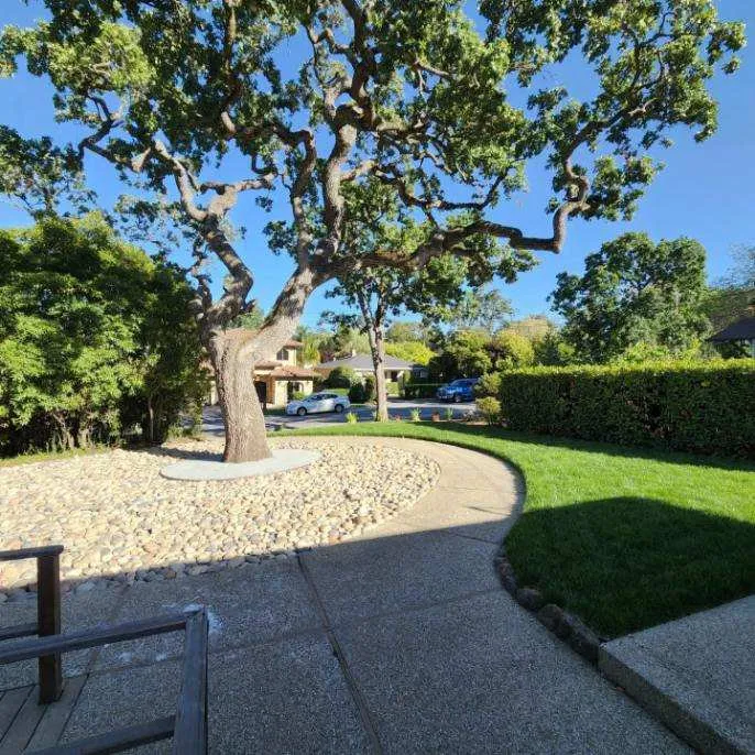 Reliable outdoor landscaping for beautiful yards in Antioch, CA by Westcoast Hardscape