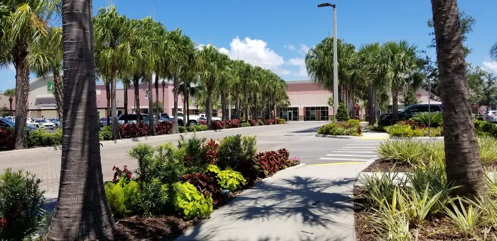 Affordable yard cleanup service with custom design in Pinellas Park, FL by Westcoast Landscape & Lawns