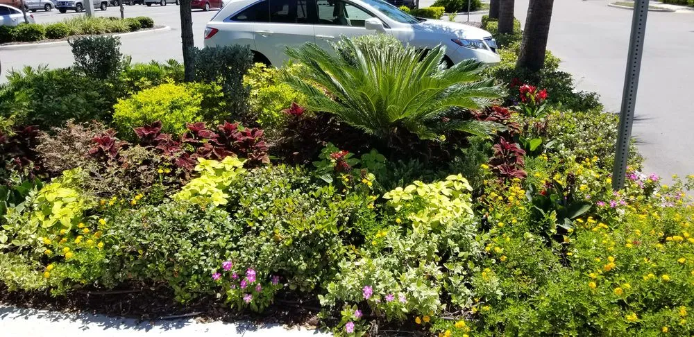 Trusted yard cleanup service in Pinellas Park, FL by Westcoast Landscape & Lawns