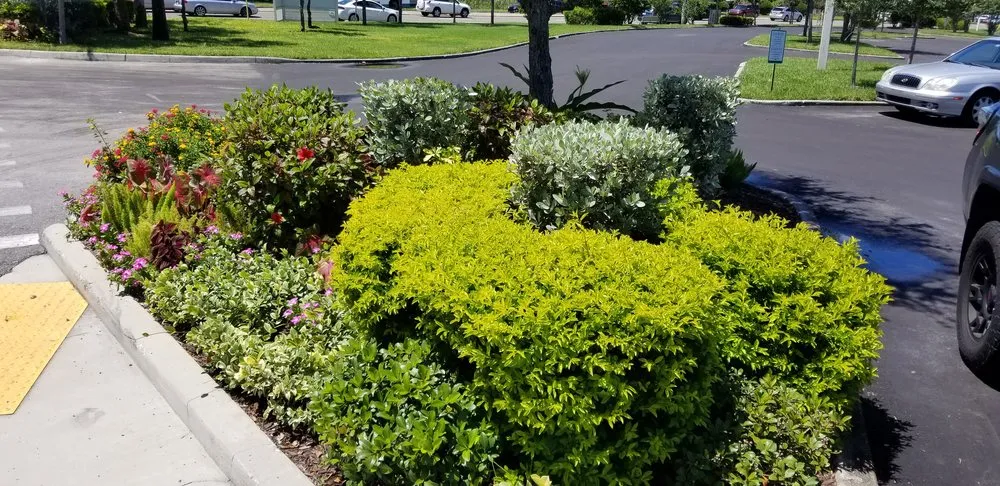 Local yard maintenance for year-round maintenance in Pinellas Park, FL by Westcoast Landscape & Lawns