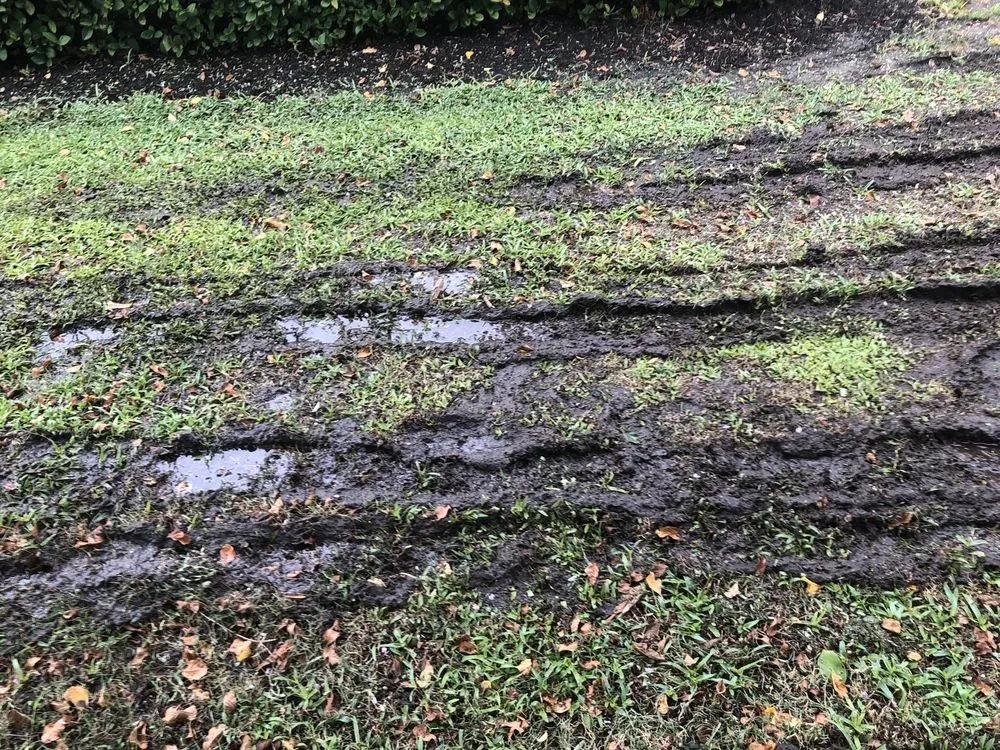 Trusted lawn mowing service for residential properties in Pinellas Park, FL by Westcoast Landscape & Lawns