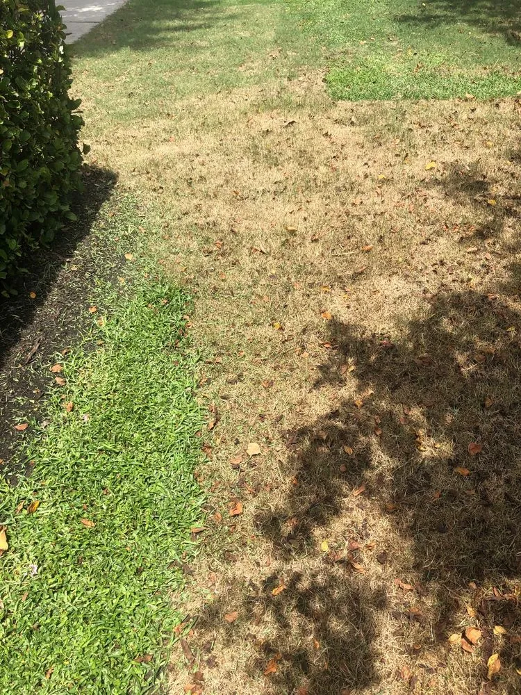 Top-rated landscape installation for residential properties in Pinellas Park, FL by Westcoast Landscape & Lawns