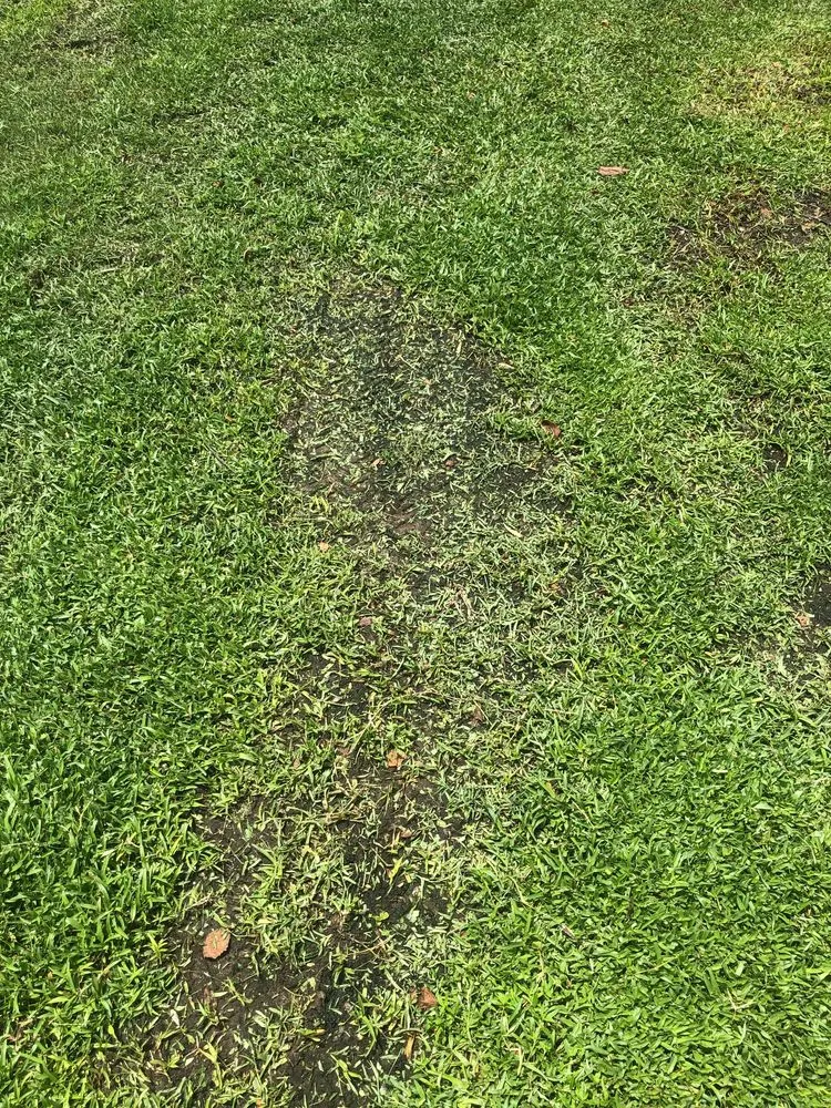 Custom garden landscaping for residential properties across Pinellas Park, FL - Westcoast Landscape & Lawns