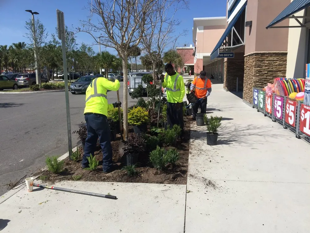 Custom yard cleanup service for homes in Pinellas Park, FL by Westcoast Landscape & Lawns
