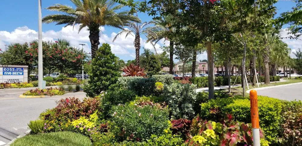 Top-rated residential landscaping experts serving Pinellas Park, FL - Westcoast Landscape & Lawns