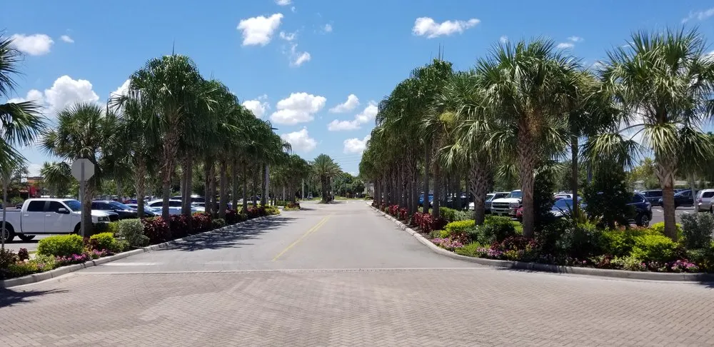 Professional residential landscaping experts serving Pinellas Park, FL - Westcoast Landscape & Lawns