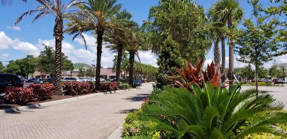 Trusted landscape design in Pinellas Park, FL by Westcoast Landscape & Lawns