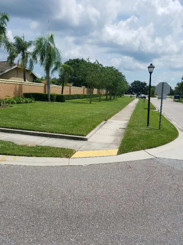 Trusted yard maintenance for residential properties in Pinellas Park, FL by Westcoast Landscape & Lawns