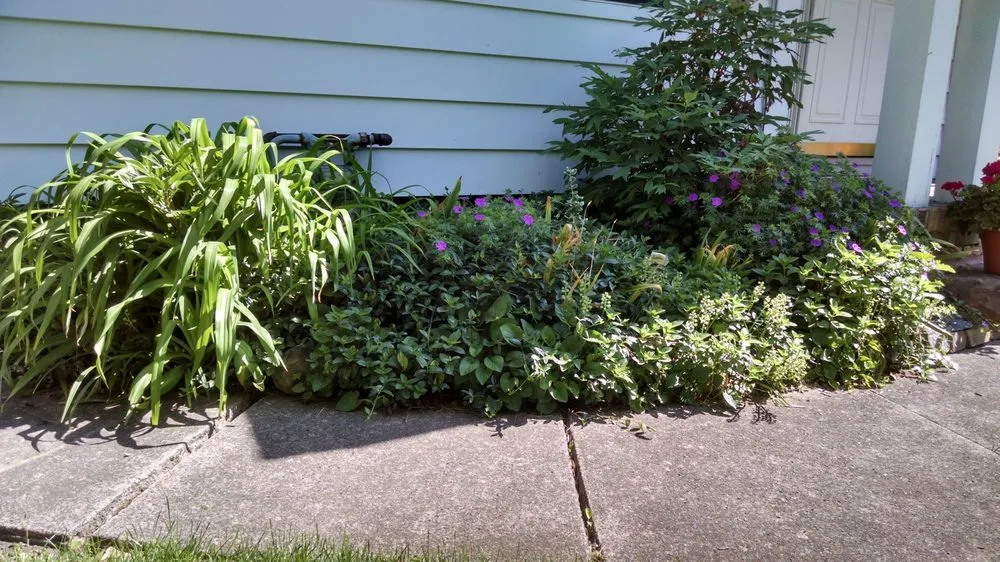 Reliable outdoor landscaping experts serving Webster, NY - Westcott Improvements