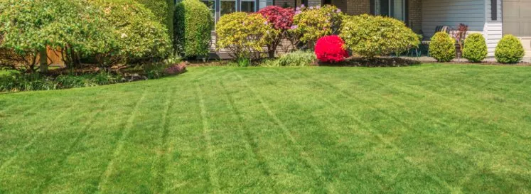 Affordable outdoor landscaping experts serving Cleveland, OH - WestEnd landscaping