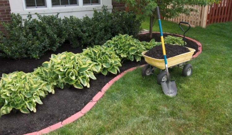 Custom yard maintenance in Cleveland, OH by WestEnd landscaping