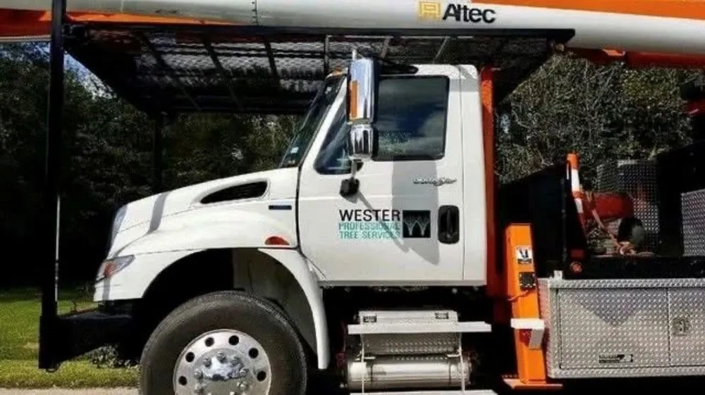 Reliable lawn mowing service for homes across Beaumont, TX - Wester Landscape Management