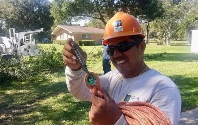 Top-rated yard maintenance in Beaumont, TX - Wester Landscape Management