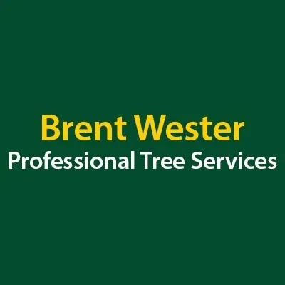 Professional landscape design near you in Beaumont, TX by Wester Landscape Management