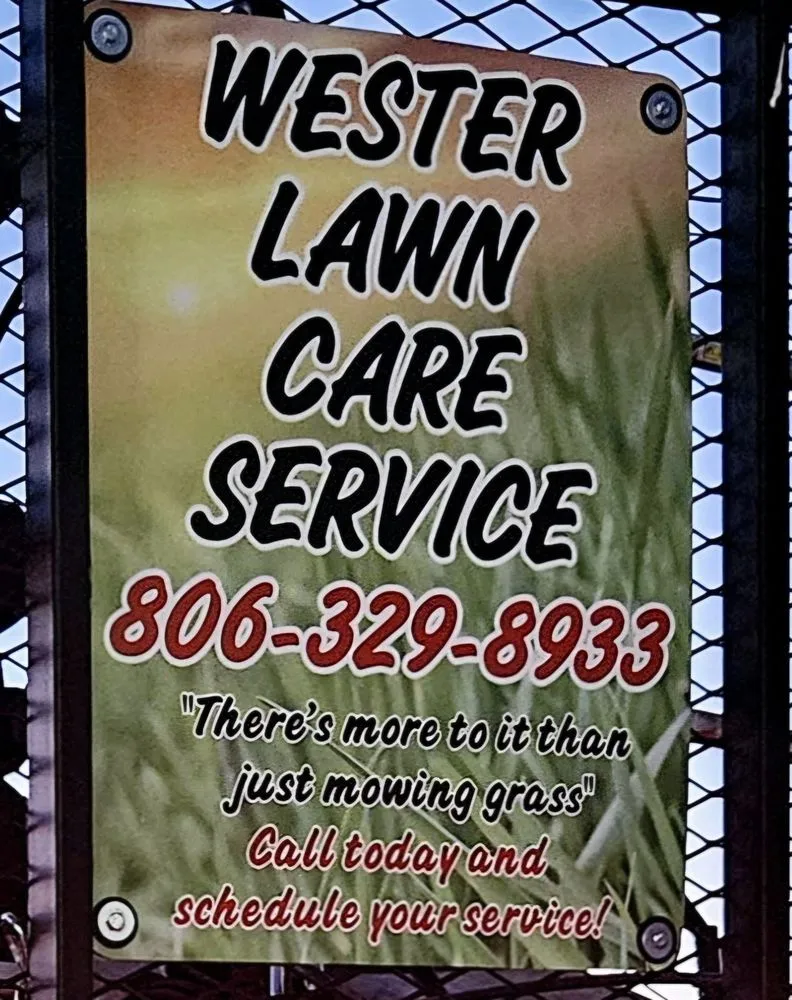 Affordable yard maintenance in Lubbock, TX by Wester Lawn Care Service
