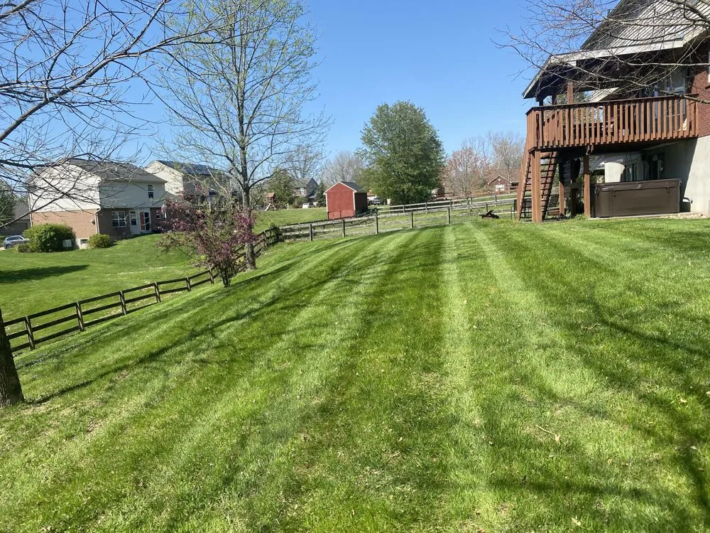 Local lawn care service for homes in Independence, KY by Westerkamp Lawn Experts