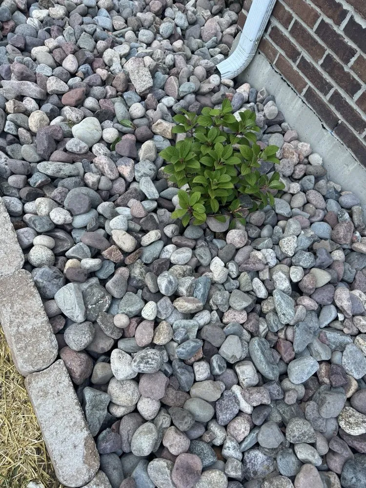 Affordable yard maintenance for residential properties in Independence, KY by Westerkamp Lawn Experts