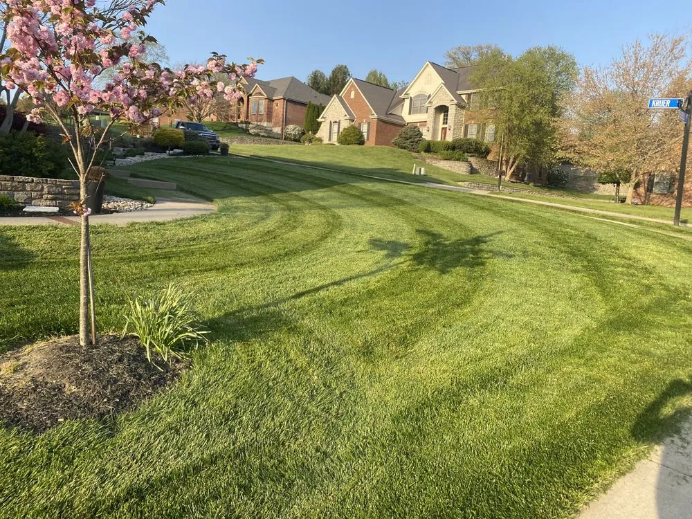 Affordable yard cleanup service in Independence, KY - Westerkamp Lawn Experts