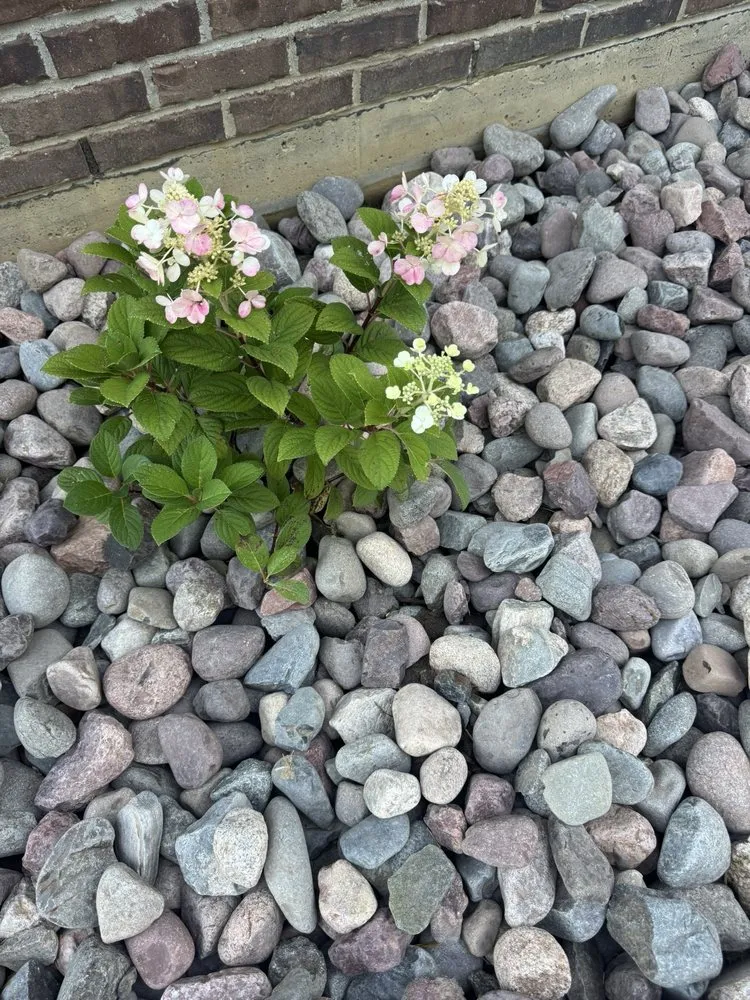 Reliable residential landscaping for residential properties in Independence, KY by Westerkamp Lawn Experts