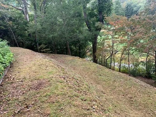 Western Carolina Landscaping Logo
