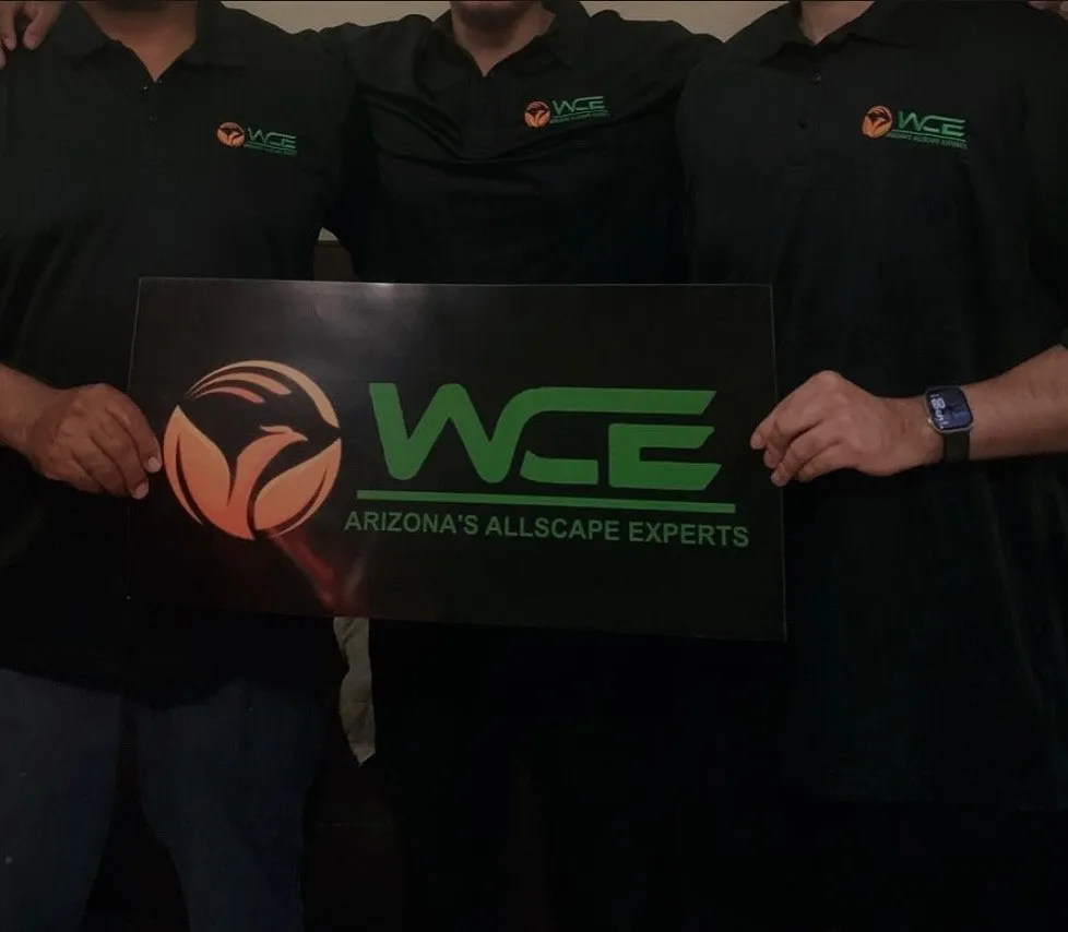 Professional yard maintenance experts serving Glendale, AZ - Western Classics Environmental